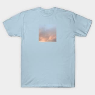 Dust bath T-Shirt